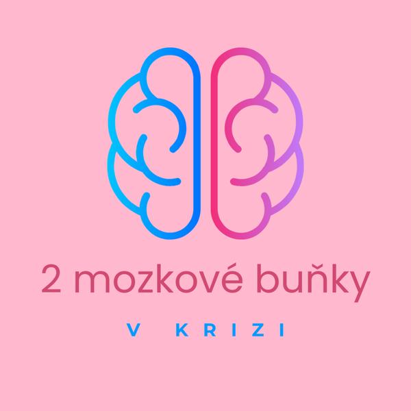 2 mozkové buňky v krizi